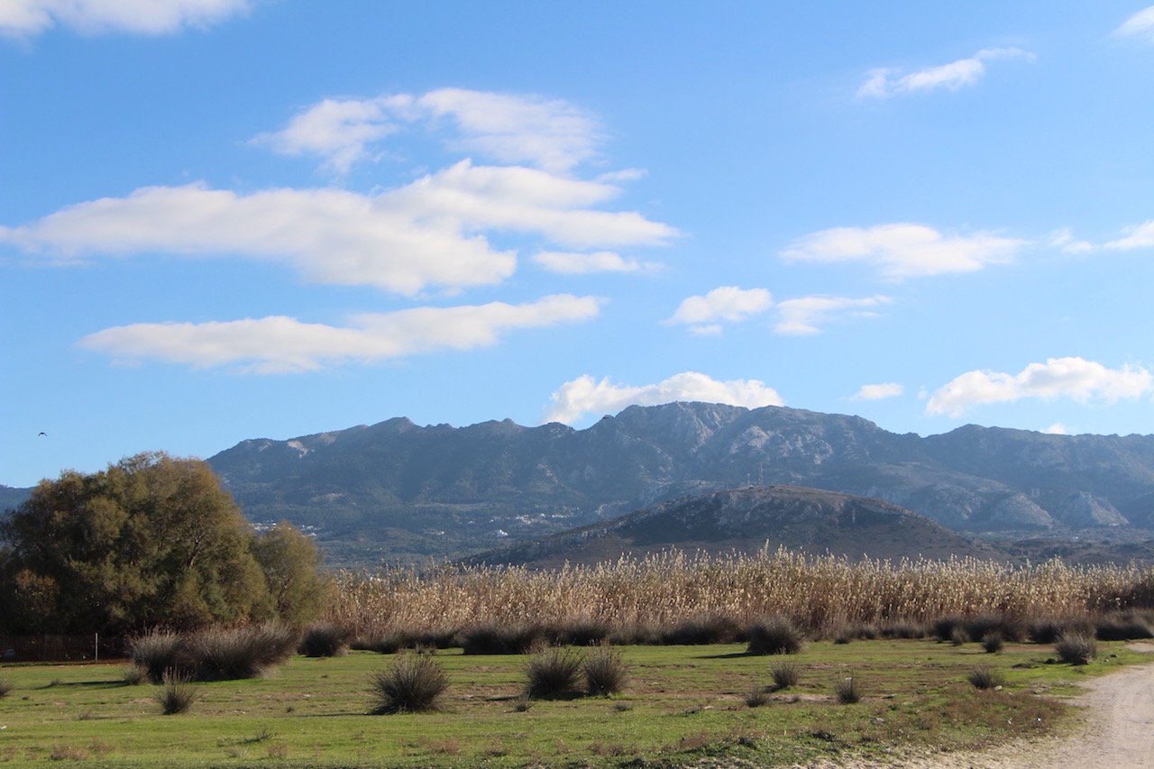 View of Mount Dikaios from Tigaki Salt Lake