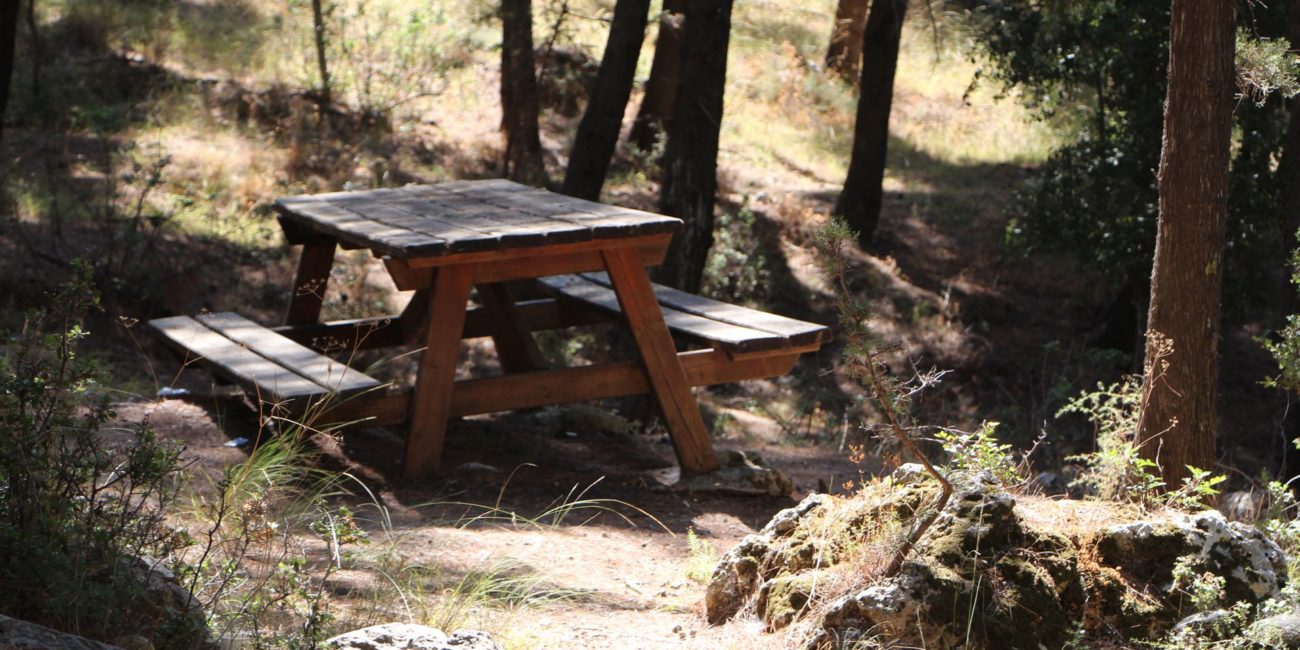 PIcnic table at the Koniario recreational area